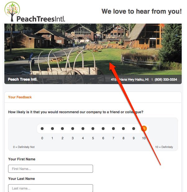 feedback-page-banner-example